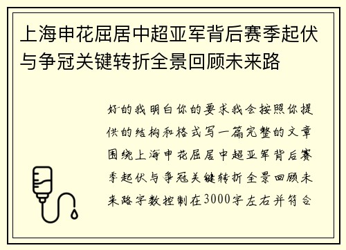 上海申花屈居中超亚军背后赛季起伏与争冠关键转折全景回顾未来路 上海申花屈居中超亚军背后赛季起伏与争冠关键转折全景回顾未来路