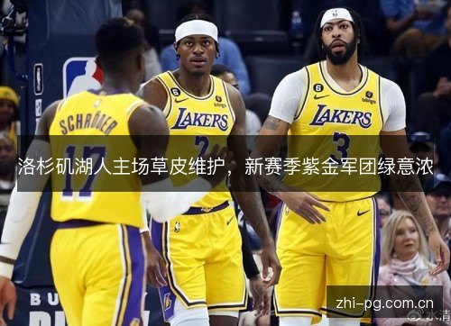 洛杉矶湖人主场草皮维护,新赛季紫金军团绿意浓 洛杉矶湖人主场草皮维护,新赛季紫金军团绿意浓
