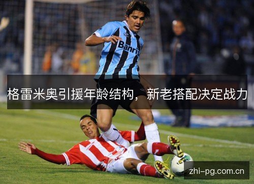 格雷米奥引援年龄结构，新老搭配决定战力